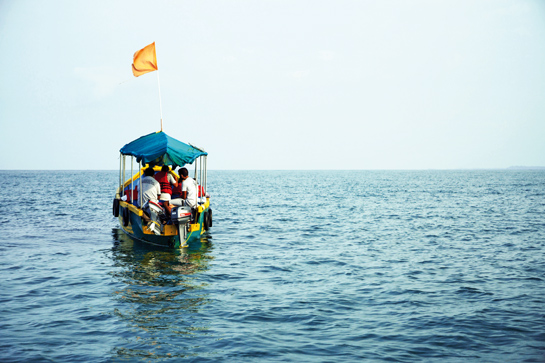 Within a season of introducing and implementing ethical dolphin-watching guidelines, the boat-operator partners found they were saving fuel and that guests were more respectful.