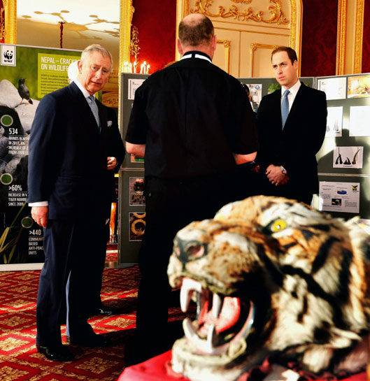 Prince Charles told the summit that the illegal wildlife trade poses a &acirc;grave threat not only to wildlife and the people who protect them, but to the security of many nations.