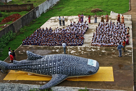 The Wildlife Trust of India's life-sized inflatable whale shark is a popular attraction at local community events.
