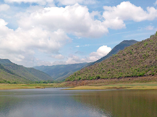 This grand vista of the Shevroy hills (left) came into view from atop the Vaniyar Dam. The team strongly recommends notifying the Vaniyar riparian tract as a Protected Area, which harbours avians such as this stunning.
