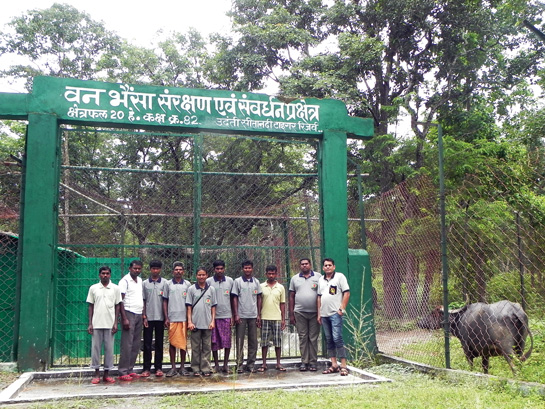 The team at the Wild Buffalo Rescue Centre. Asha, the buffalo matriarch, can be seen in the boma on the right.