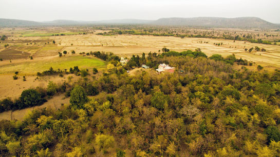 Tigress@Ghosri in the buffer of the Tadoba-Andhari Tiger Reserve has become a biological and economic success story indicating that degraded farmlands can be restored to forest status next to wildlife zones.