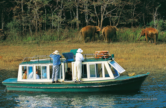 Enthralled tourists on a boat safari on the Periyar lake observe wild elephants.