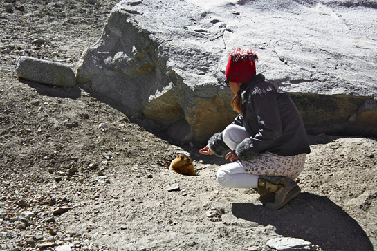 A tourist offers food to a marmot. Such misplaced acts of benevolence may make for good photographs, but are harmful to the animals whose systems were never designed to consume the processed foods that humans eat.