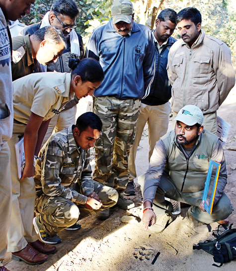 Sanjay Thakur from WCT's WLET team demonstrates techniques for recording pugmarks during a field session on identifying tracks and signs of wild animals at the Pench Tiger Reserve, Maharashtra.