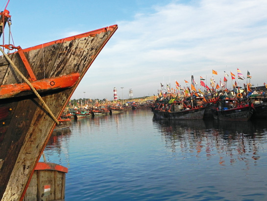 After trawlers such as these parked at the Mangrol Port have had their fill, artisanal fishermen are often left to deal with a meagre catch.