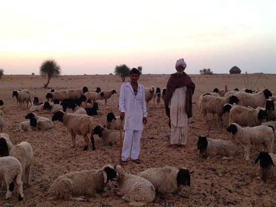 Goatherd Urs Khan from Rajasthan is one of 12 grassroots conservationists selected by the Sanctuary Nature Foundation to lead local-level conservation projects in the country.