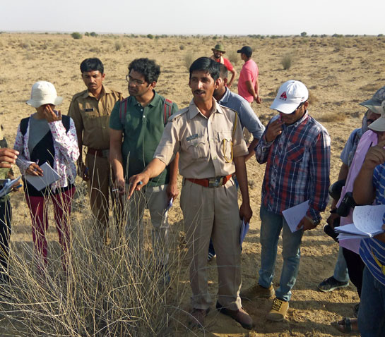 Hamir Singh, a forest guard, introduces the survey team to the flora and fauna of this crucial GIB habitat.