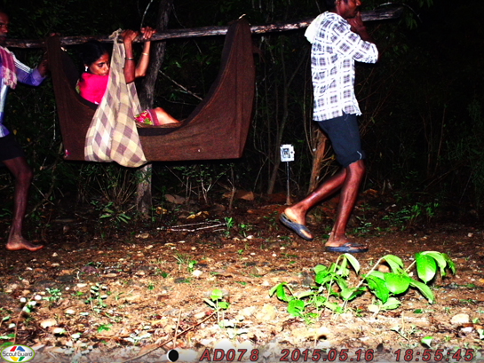 Camera traps captured villagers, who live inside the reserve, carrying a patient in need of medical attention. Voluntary relocation of villages from inside the core area has commenced.
