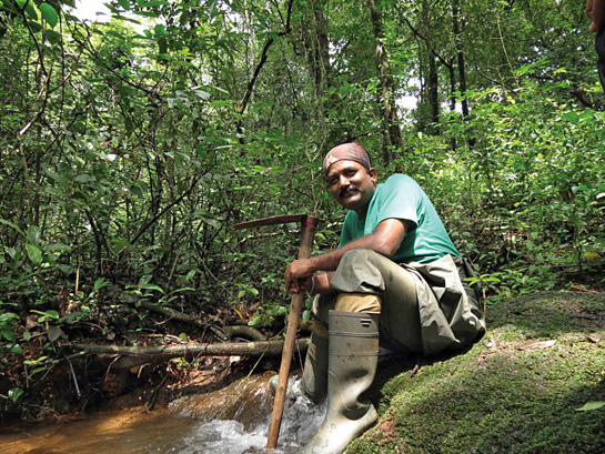 Researcher par excellence, Varad Giri's meticulous work has been instrumental in shaping conservation strategies for endemic amphibians and reptiles of the Western Ghats.