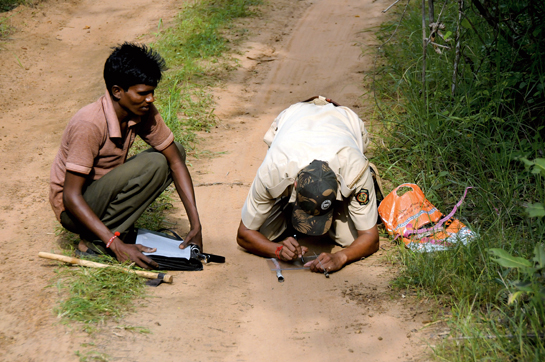 A forest guard and his assistant carefully trace the pugmark of a tiger after they noticed its exceptionally long stride. While camera traps have replaced the controversial &acirc;pugmark' method for counting tigers, forest guards still carefully monitor wildlife spoor to evaluate the presence-absence and overnight movement of big cats. Just nu kan du snabbt hitta det <a href=