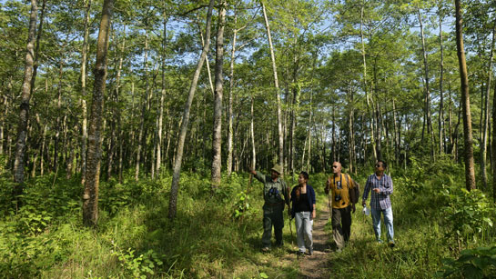Chitwan National Park in Nepal