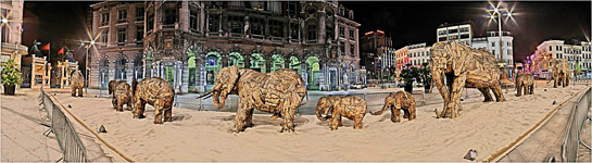 The sculptures were intended as a reminder of the critical need to conserve wild spaces. Botha created these elephants to encourage meaningful creative projects and spark discussions about art that represents wildlife.