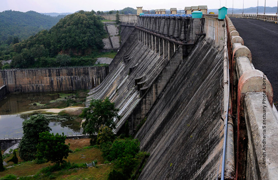 The Totladoh Dam located in the core of the Pench Tiger Reserve.