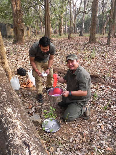 WTI's Tenzing Norsang (right) and Achintya Tripathi set up a jungle crime scene to hone the investigative skills of the STPF personnel posted at Nagarahole and Bandipur. WTI's Tenzing Norsang (right) and Achintya Tripathi set up a jungle crime scene to hone the investigative skills of the STPF personnel posted at Nagarahole and Bandipur.