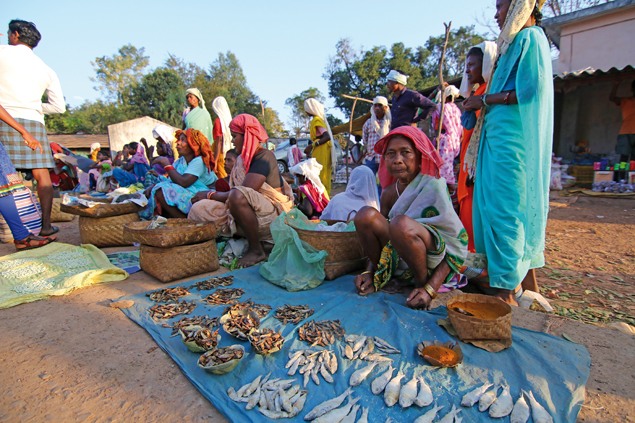 Local women selling dry fish in a weekly market at a village in Bastar, Chhattisgarh. The author believes that evicting tribals from their homes will result in handing over forest land to mining and other interests whom the tribals have been resisting.
