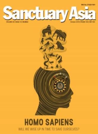 Sanctuary Latest Issue