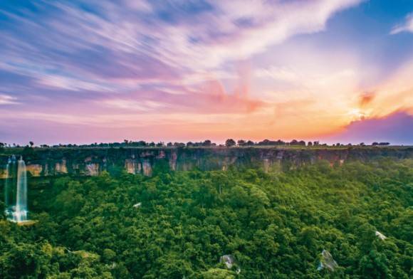 Wild Chhattisgarh